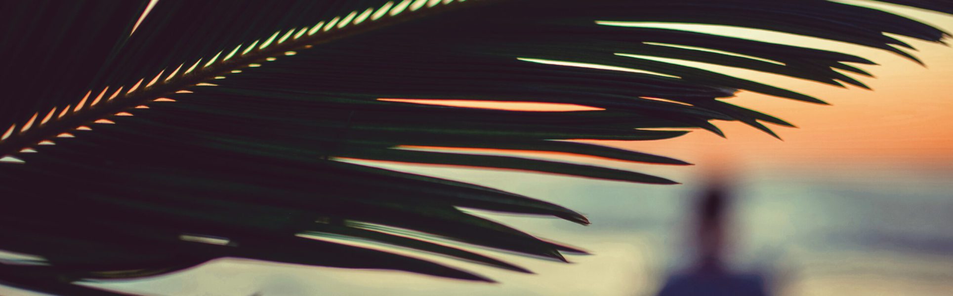 Processed with VSCO with acg preset