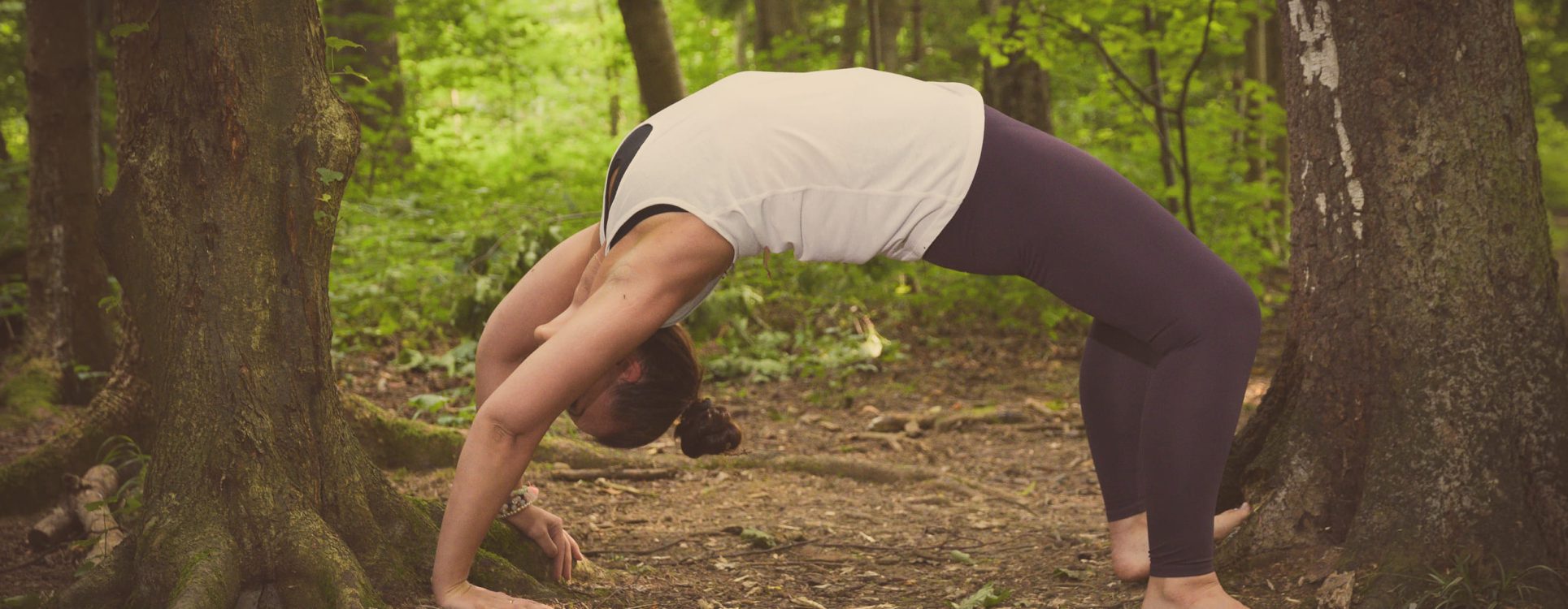 Frau in Brückenposition zwischen zwei Bäumen